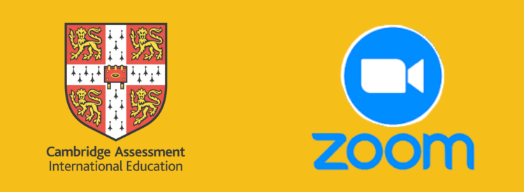 Blue Vibrant an White Modern Professional Website Development Services Banner (3) Blue Vibrant an White Modern Professional Website Development Services Banner (3)